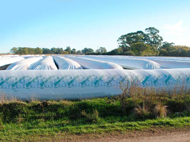 Empresa para productores agrícolas