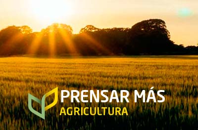 Prensar Más, Agricultura